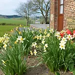 Chez Basile Σπίτι διακοπών Oizy