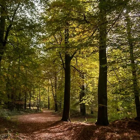 Chez Basile 펜션 *