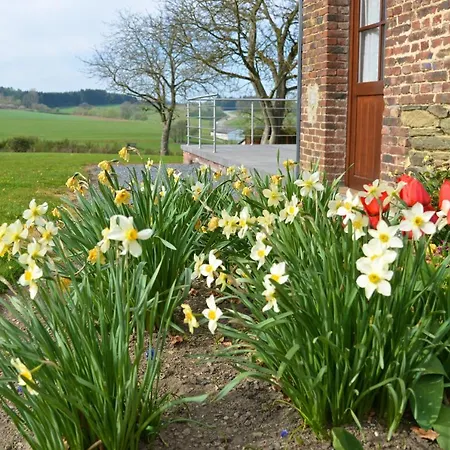 Chez Basile 펜션 Oizy